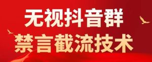 外面卖1500抖音粉丝群无视禁言截流技术，抖音黑科技，直接引流，0封号-淘金日记