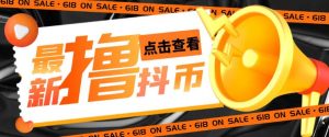 外面收费598的最新pdd无限白嫖抖币项目揭秘，简单暴利【仅揭秘】-淘金日记