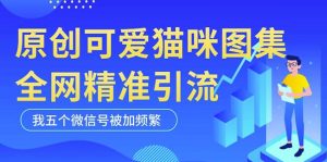 黑科技纯原创可爱猫咪图片，全网精准引流，实操5个VX号被加频繁-淘金日记