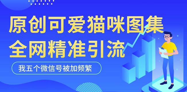 黑科技纯原创可爱猫咪图片,全网精准引流,实操5个VX号被加频繁-淘金日记