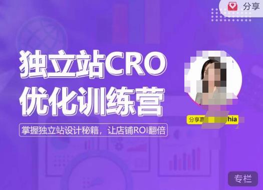 独立站CRO优化训练营,掌握独立站设计秘籍,打造高转化的独立站,让店铺ROI翻倍-淘金日记