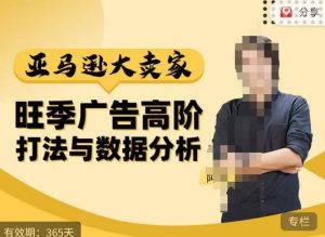 阿甘·亚马逊大卖家广告高阶打法与数据分析，走出传统广告误区；揭秘大卖惯用打法；数据驱动广告决策-淘金日记