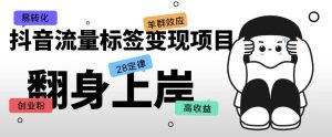 抖音流量标签变现项目，抖音创业粉轻松转化，单价高收益简单-淘金日记