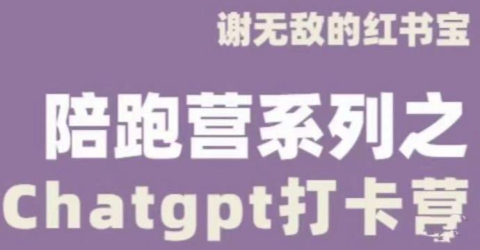 谢无敌ChatGPT打卡营,教你更好地使用ChatGPT来提高工作效率-淘金日记