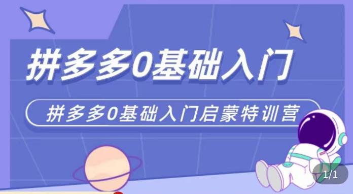 六一电商·拼多多运营0-1实操特训营,拼多多从基础到进阶的可实操玩法-淘金日记