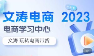 文涛电商·7天零基础自然流起号，​快速掌握店铺运营的核心玩法，突破自然展现量，玩转直播带货-淘金日记