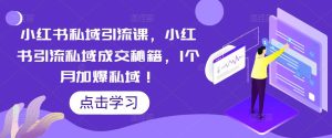 小红书私域引流课，小红书引流私域成交秘籍，1个月加爆私域！-淘金日记