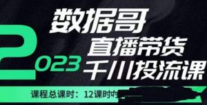 数据哥2023直播电商巨量千川付费投流实操课,快速掌握直播带货运营投放策略-淘金日记