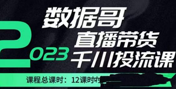 数据哥2023直播电商巨量千川付费投流实操课,快速掌握直播带货运营投放策略-淘金日记