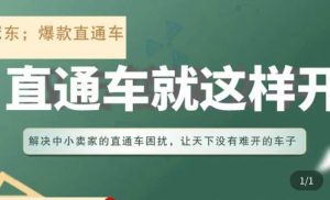冠东·淘系直通车保姆级教程，全面讲解直通车就那么简单-淘金日记