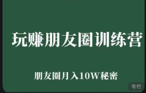 玩赚朋友圈系统课,朋友圈月入10W的秘密,7天系统图文课程-淘金日记