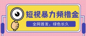 外面收费1680的短视频暴力撸金，日入300+长期可做，赠自动收款平台-淘金日记