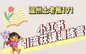 小红书1对1引流获客训练营:账号、内容、引流、成交(价值3999元)-淘金日记