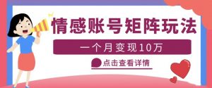 云天情感账号矩阵项目，简单操作，月入10万+可放大（教程+素材）-淘金日记