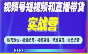 2023最新微信视频号引流和变现全套运营实战课程，小白也能玩转视频号短视频和直播运营-淘金日记