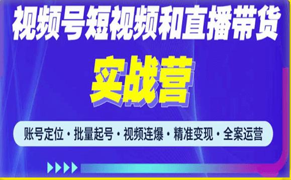 2023最新微信视频号引流和变现全套运营实战课程，小白也能玩转视频号短视频和直播运营-淘金日记
