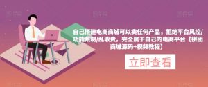 自己搭建电商商城可以卖任何产品,完全属于自己的电商平台【拼团商城源码+视频教程】-淘金日记