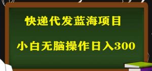 2023最新蓝海快递代发项目，小白零成本照抄也能日入300+-淘金日记