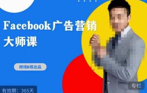 跨境b哥·2023Facebook广告营销大师课,挖掘广告商机,寻找精准客户-淘金日记