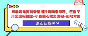 峰教练电商抖音直播投流起号课程:巨量千川全流程投放+小店随心推全流程+起号方式-淘金日记