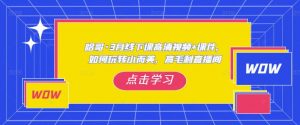 哈哥·3月线下实操课高清视频+课件，如何玩转小而美，高毛利直播间-淘金日记