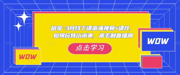 哈哥·3月线下实操课高清视频+课件,如何玩转小而美,高毛利直播间-淘金日记