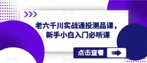 老六千川实战通投测品课，新手小白入门必听课-淘金日记