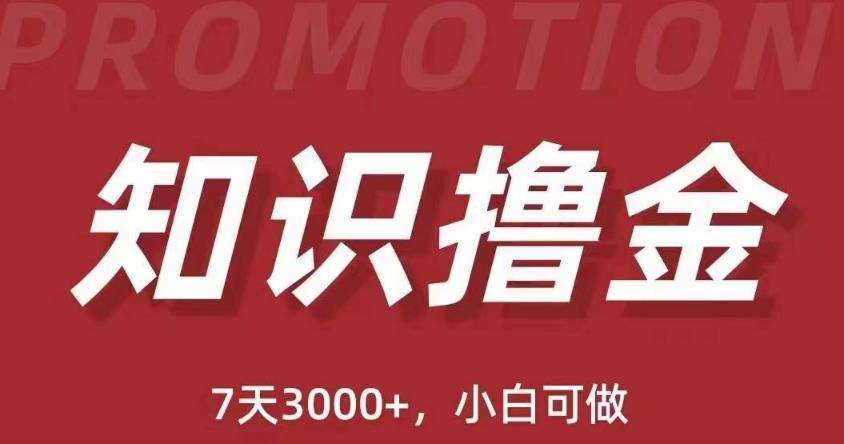 抖音知识撸金项目：简单粗暴日入1000+执行力强当天见收益(教程+资料)-淘金日记