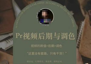 Pr视频后期与调色,视频颜值=后期+调色,这里没有套路,只有干货!-淘金日记