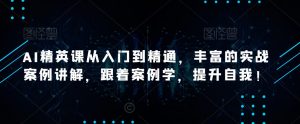 AI精英课从入门到精通，丰富的实战案例讲解，跟着案例学，提升自我！-淘金日记