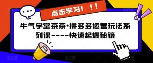 牛气学堂茶茶•拼多多运营玩法系列课—-快速起爆秘籍【更新】-淘金日记