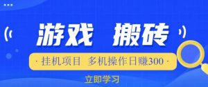 游戏挂机挂机项目,多机操作,日赚300【揭秘】-淘金日记