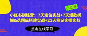 小红书训练营:7天定位实战+7天爆款拆解&选题库搭建实战+21天笔记实操实战-淘金日记