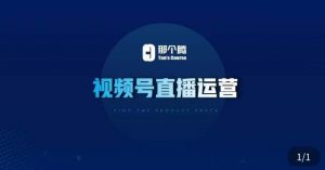 那个腾·视频号直播运营,视频号直播推流逻辑/流量渠道解析/直播起号攻略/直播实操技巧-淘金日记