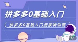 拼多多运营0-1实操特训营，拼多多0基础入门，从基础到进阶的可实操玩法-淘金日记