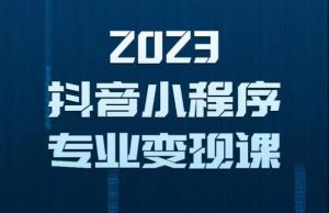 2023年抖音小程序变现保姆级教程,0粉丝新号,无需实名,3天起号,第1条视频就有收入-淘金日记