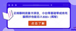 正规暴利流量卡项目,小白零基础零成本无脑照抄也能日入300+【揭秘】-淘金日记