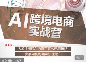 白龙老师·AI跨境电商实战营:从0-1精通Al的真正有效电商玩法,卖家如何利用Al快速超车-淘金日记