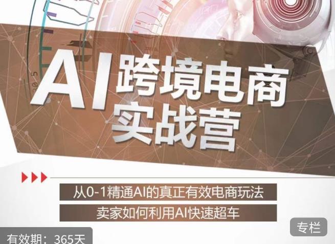 白龙老师·AI跨境电商实战营:从0-1精通Al的真正有效电商玩法,卖家如何利用Al快速超车-淘金日记