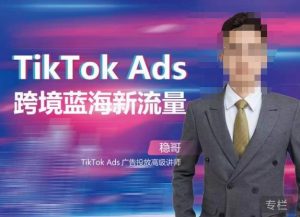 稳哥·如何投出高ROI的TikTok广告，开拓独立站卖家流量新蓝海-淘金日记
