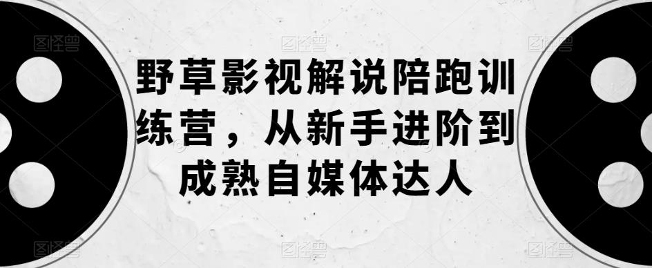 野草影视解说陪跑训练营,从新手进阶到成熟自媒体达人-淘金日记