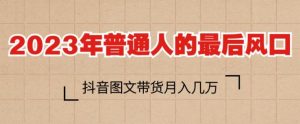 2023年普通人的最后风口，抖音图文带货月入几万，只需一部手机即可操作-淘金日记