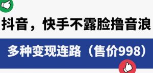抖音快手不露脸撸音浪项目，多种变现连路（售价998）-淘金日记