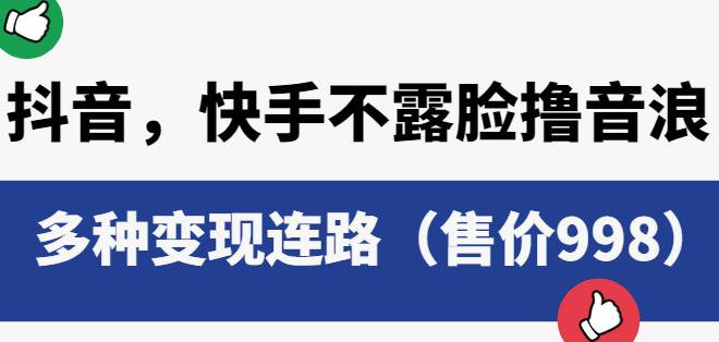 抖音快手不露脸撸音浪项目，多种变现连路（售价998）-淘金日记