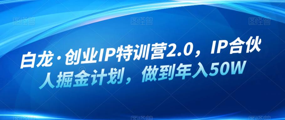 白龙·创业IP特训营2.0，IP合伙人掘金计划，做到年入50W-淘金日记