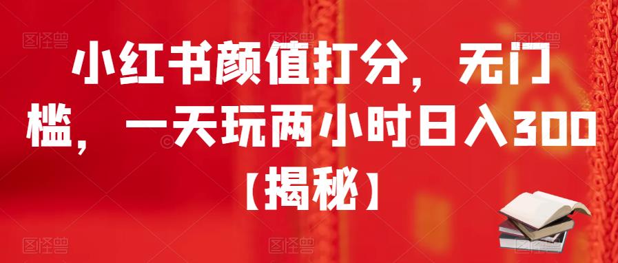 小红书颜值打分，无门槛，一天玩两小时日入300+【揭秘】-淘金日记