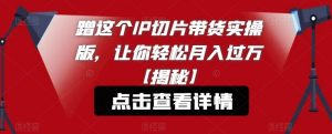 蹭这个IP切片带货实操版，让你轻松月入过万【揭秘】-淘金日记
