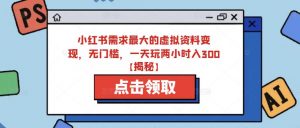 小红书需求最大的虚拟资料变现，无门槛，一天玩两小时入300+【揭秘】-淘金日记