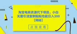 淘宝电商资源代下项目,小白无需引流复制粘贴也能日入300+【揭秘】-淘金日记