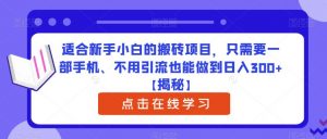 适合新手小白的搬砖项目，只需要一部手机、不用引流也能做到日入300+【揭秘】-淘金日记